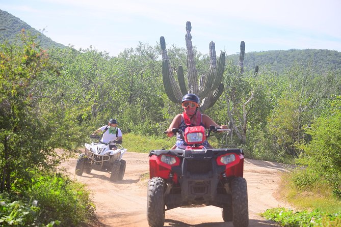 Cabo Original Real Baja 1000 Tour (Single ATV) - Key points to know before you book