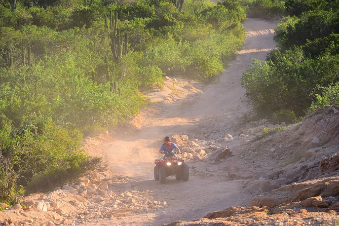 Cabo Original Real Baja 1000 Tour (Single ATV) - Finishing beside the beach