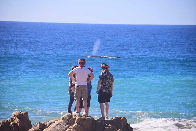 Cabo Original Real Baja 1000 Tour (Single ATV) - Practical details that affect your day