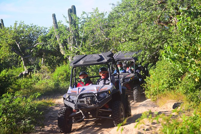 Cabo Original Real Baja 1000 Tour (UTV) - Beaches, river banks, hills, and a small waterfall