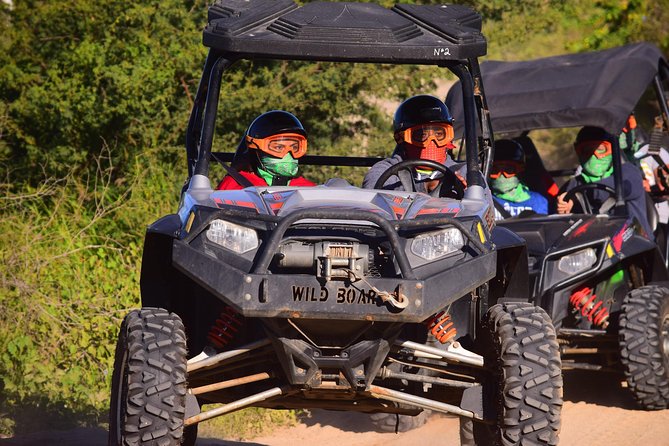 Cabo Original Real Baja 1000 Tour (UTV) - Should you book the Original Real Baja 1000 UTV Tour?