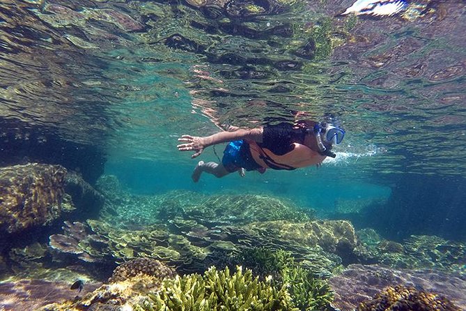 Cabo Pulmo National Park Snorkel Expedition from Cabo San Lucas - What makes this Cabo Pulmo trip worth considering