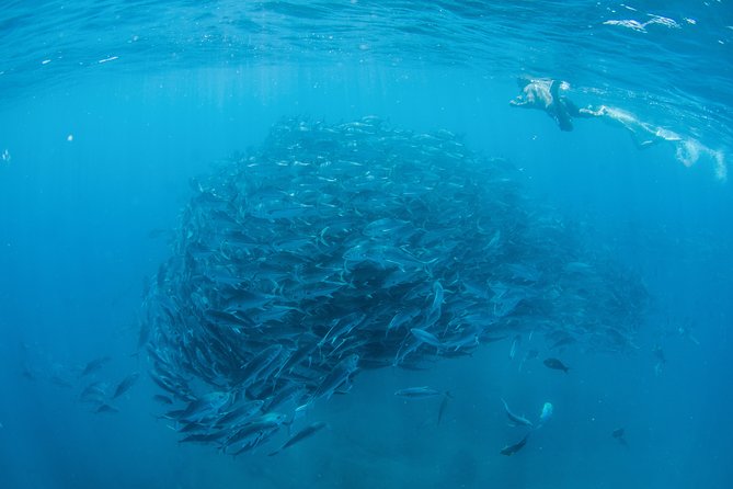 Cabo Pulmo National Park Snorkel Expedition from Cabo San Lucas - Arriving at Cabo Pulmo Marine Park