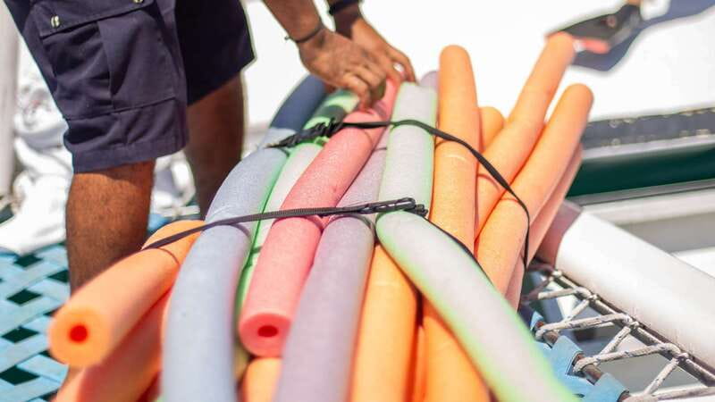 Cabo San Lucas: 4-Hour Snorkeling Cruise with Open Bar - Snorkeling at Santa Maria Bay