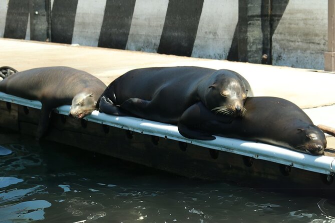 Cabo San Lucas Arc Group Tour in Glass Bottom Boat - Key points to know before booking