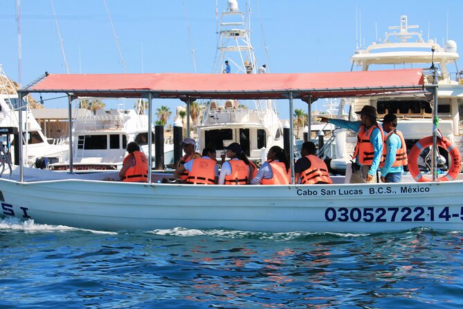 Cabo San Lucas Arc Group Tour in Glass Bottom Boat - What the glass-bottom boat really offers