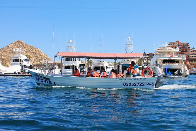 Cabo San Lucas Arc Group Tour in Glass Bottom Boat - Wildlife is a bonus, not the main promise