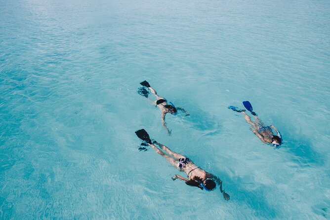 Cabo San Lucas Arch Tour and we go down to Playa del Amor - Snorkeling is not the reason to choose this outing