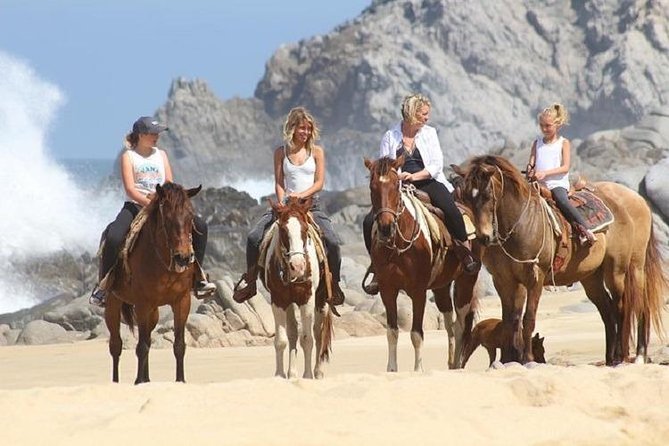 Cabo San Lucas Beach and Desert Horseback Ride - Is it suitable for a first horseback ride?