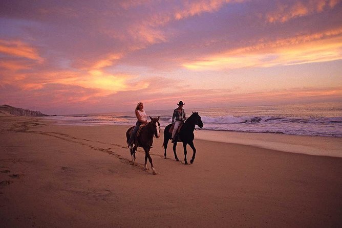 Cabo San Lucas Beach and Desert Horseback Ride - Transportation is useful, but allow extra time