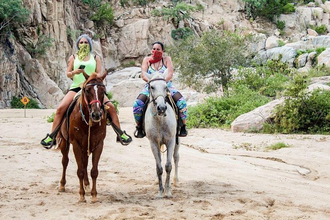 Cabo San Lucas Beach and Desert Horseback Ride - What the two-hour ride feels like