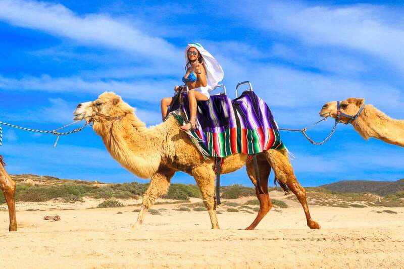Cabo San Lucas: Camel Ride & Off-Road UTV Combo Adventure - Should you book the camel and UTV combo?