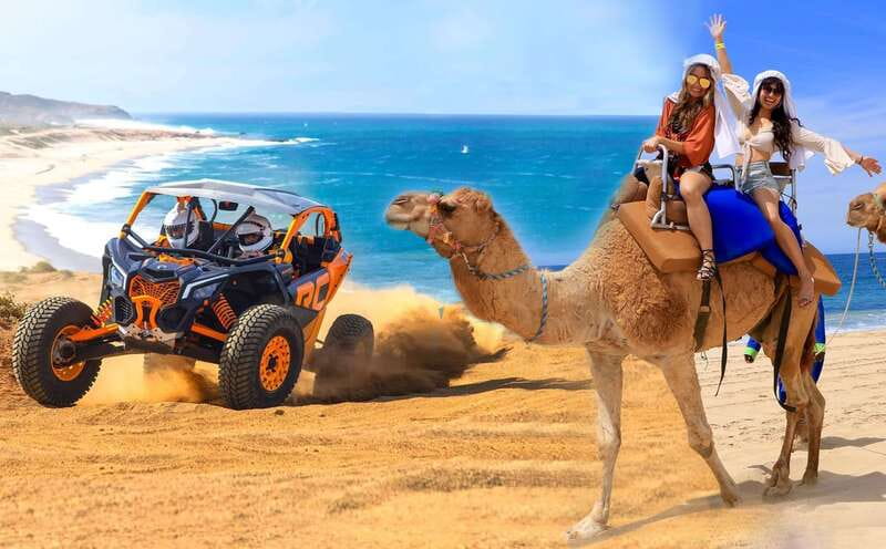 Cabo San Lucas: Camel Ride & Off-Road UTV Combo Adventure - Two Cabo experiences in one short outing