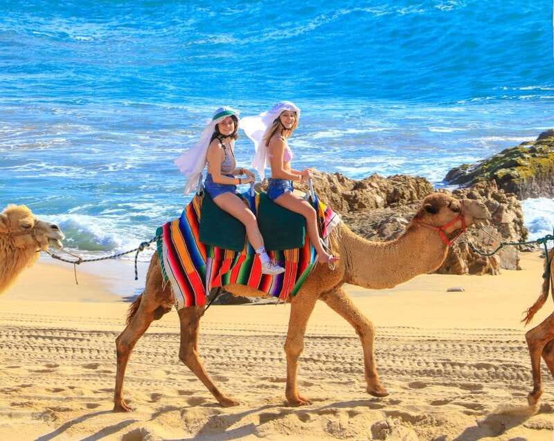 Cabo San Lucas: Camel Ride & Off-Road UTV Combo Adventure - The real price: $118 is only the starting point