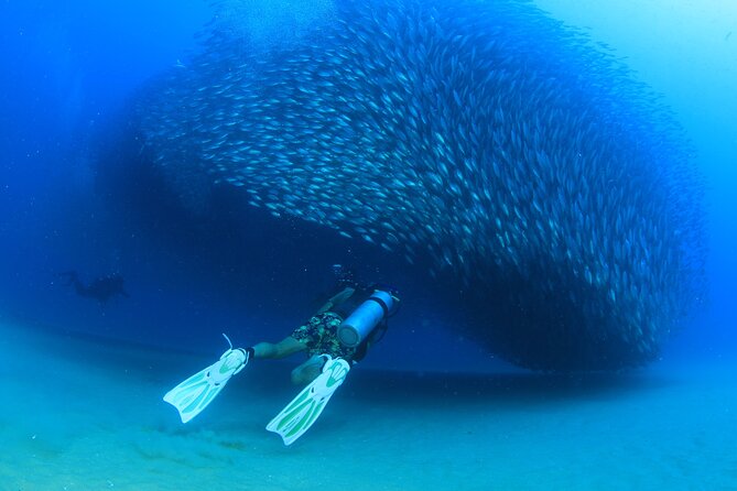 Cabo San Lucas Certified 2 Tank Dive at the Famous Arch and Land's End - Clear water is possible, but conditions can change
