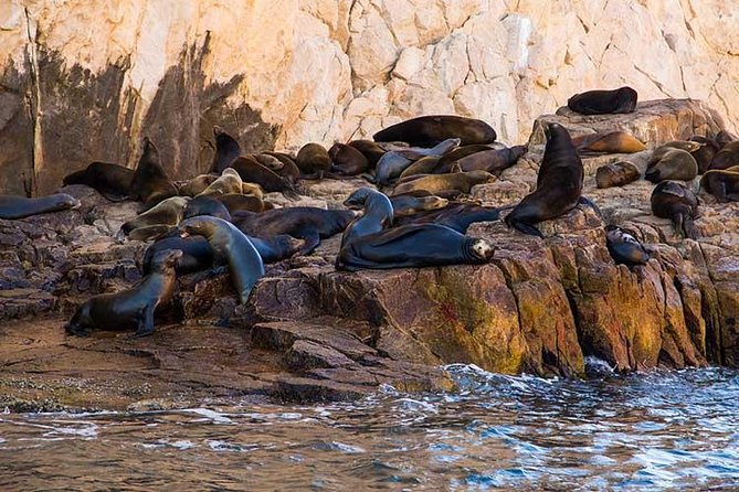 Cabo San Lucas city tour and amazing sea adventure to Lands End! - How long the tour feels in real use