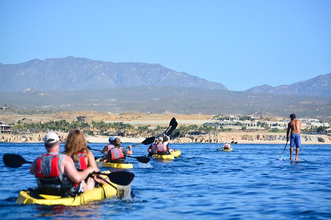 Cabo San Lucas Glass Bottom Kayak Tour and Snorkel at Two Bays - The glass-bottom kayak claim, with a useful reality check