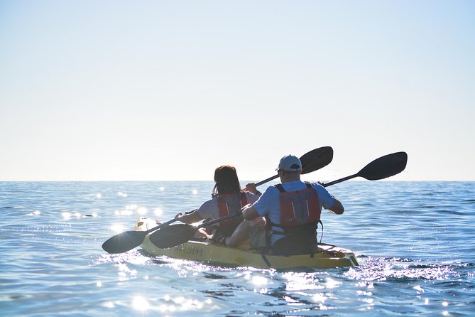Cabo San Lucas Glass Bottom Kayak Tour and Snorkel at Two Bays - Is $100 a fair price?