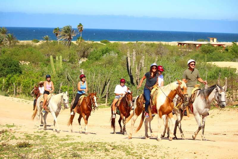 Cabo San Lucas: Horseback Riding in Migriño with Transfers - Key points before you saddle up