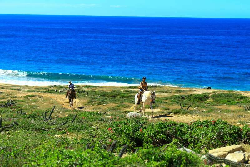 Cabo San Lucas: Horseback Riding in Migriño with Transfers - Why Migriño makes a good riding base