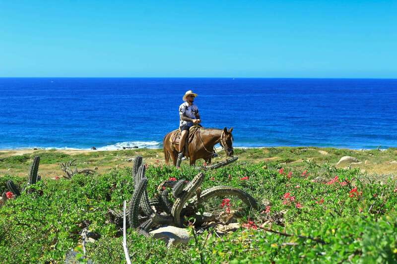 Cabo San Lucas: Horseback Riding in Migriño with Transfers - The large ocean viewpoint and possible gray whales