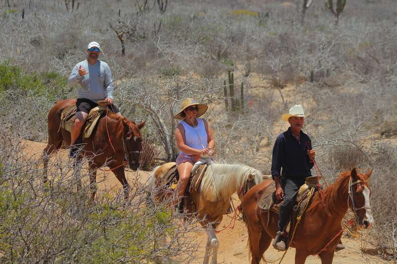 Cabo San Lucas: Horseback Riding in Migriño with Transfers - Relaxing afterward: tequila, food, and photographs