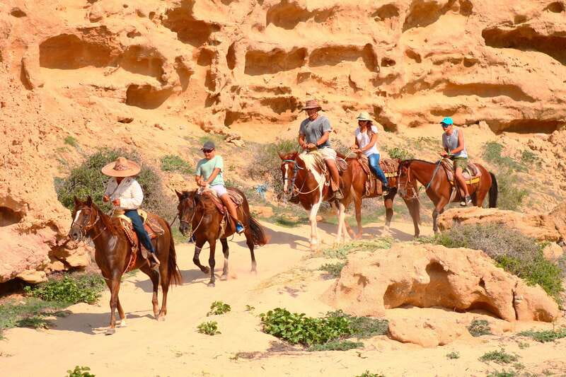Cabo San Lucas: Horseback Riding in Migriño with Transfers - Who will enjoy this horseback ride