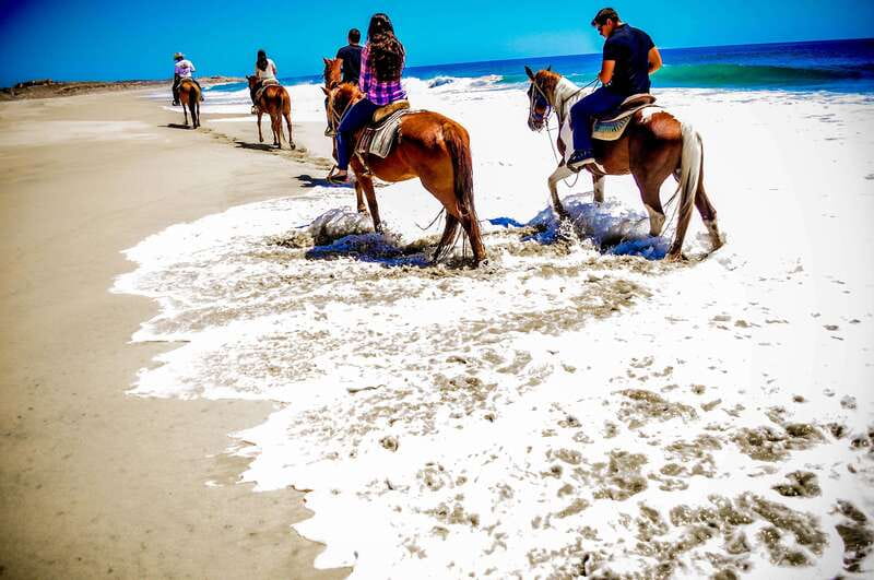 Cabo San Lucas: Horseback Riding in Migriño with Transfers - The transfer from Cabo or San José del Cabo