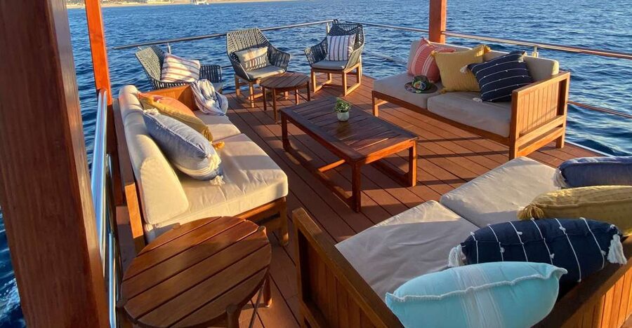 Cabo San Lucas: Private Catamaran Cruise - Snorkeling at Pelican Rock