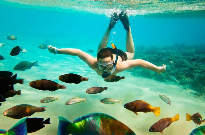 Cabo San Lucas Shopping, Tequila Tasting, and Snorkel Tour - Glassblowing in a working craft setting