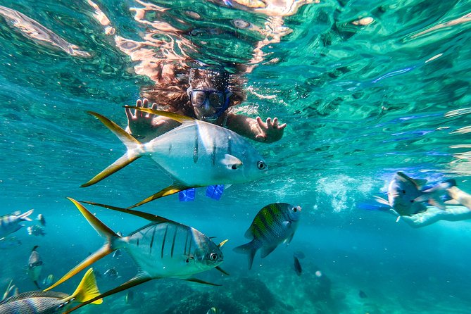 Cabo San Lucas Shopping, Tequila Tasting, and Snorkel Tour - From the hotel lobby to Cabo’s main sights
