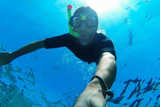Cabo San Lucas Short Snorkeling Tour with Divemaster Guide - Why this two-hour Cabo tour works so well