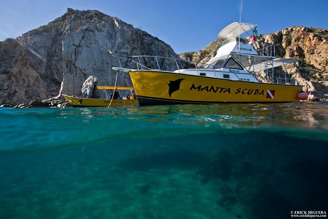 Cabo San Lucas Short Snorkeling Tour with Divemaster Guide - The guides make the difference