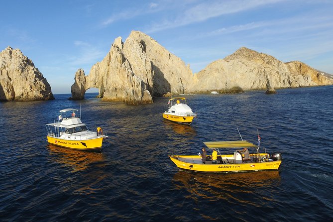Cabo San Lucas Short Snorkeling Tour with Divemaster Guide - What $70 gets you, and what it does not