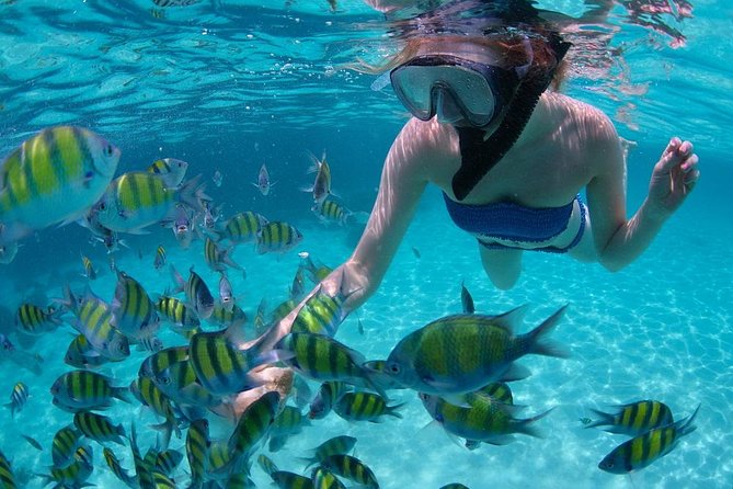 Cabo San Lucas Short Snorkeling Tour with Divemaster Guide - Meeting at the marina near the port