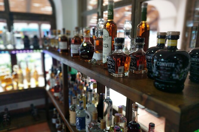 Cabo San Lucas Tequila Tasting Experience - Who will enjoy this workshop most?