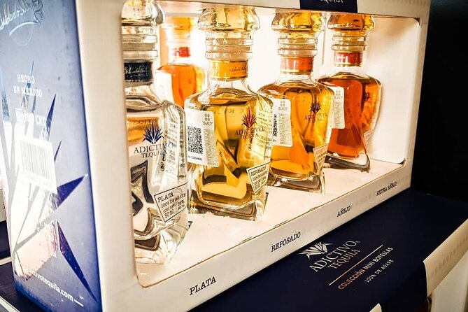 Cabo San Lucas Tequila Tasting Experience - Timing, cancellation, and useful planning tips
