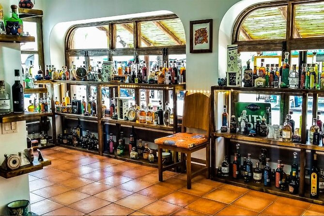 Cabo San Lucas Tequila Tasting Experience - Six tequilas, three mezcals, and possible bonus pours