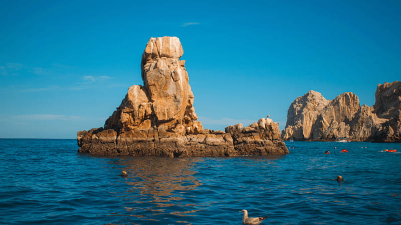 Cabo San Lucas: Tour paseo al Arco + bajada en playa - The Safety Briefing and One-Hour Cruise