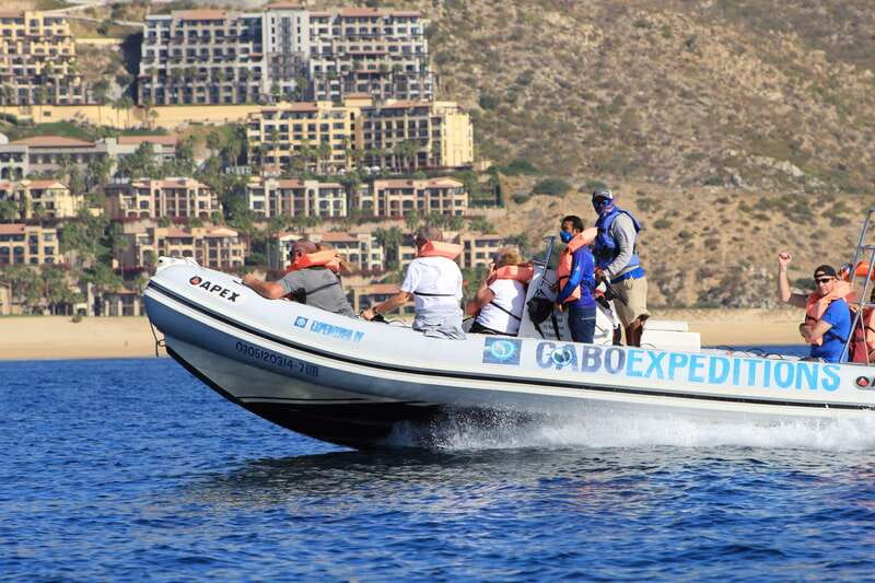 Cabo San Lucas: Up-Close Whale Watching Small-Group Tour - Why the Zodiac makes a difference in Cabo