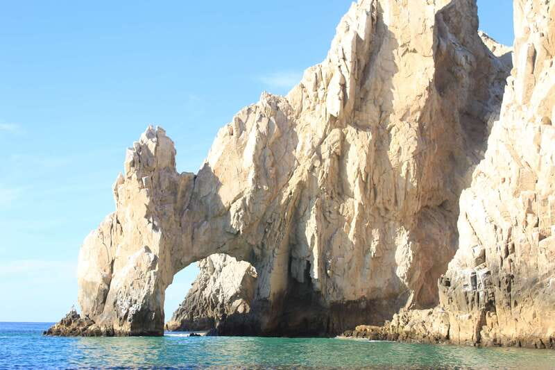 Cabo San Lucas: Up-Close Whale Watching Small-Group Tour - The 1.5-hour search for whales and dolphins