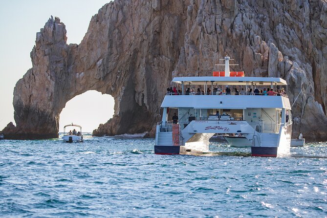 Cabo San Lucas Whale Watching Lunch Cruise - Music, Dancing, and the Ride Back