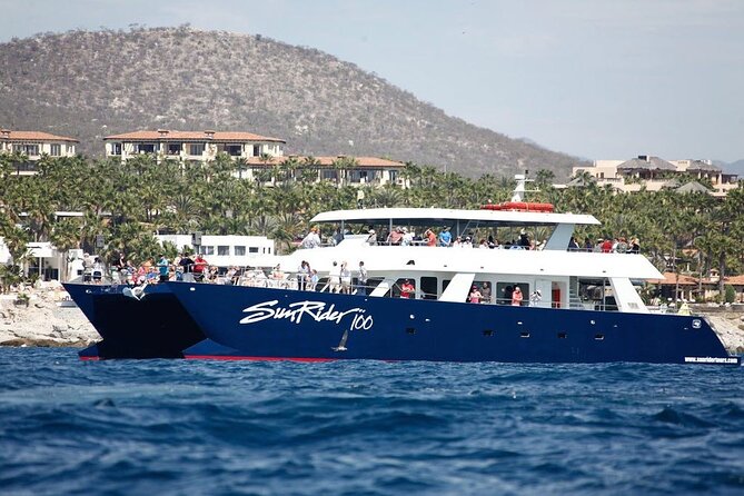 Cabo San Lucas Whale Watching Lunch Cruise - The First Stop: El Arco and Cabo’s Rock Formations