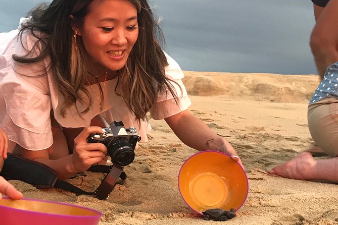 Cabo Turtle Release - Why this turtle release feels different