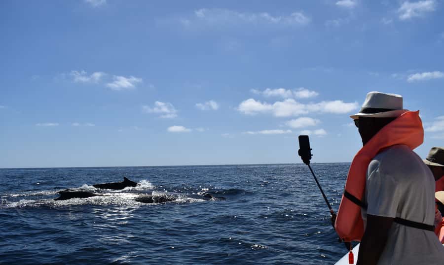 Cabo: Whale-Whatching Boat Trip w/ All-Women Crew and Photos - Photos Without Holding Up Your Phone