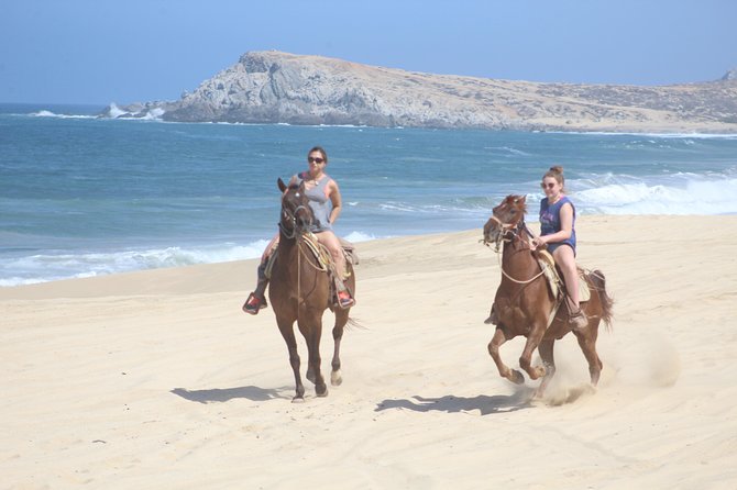 Cabo White Sand Horseback Riding Tour and Tequila Tasting - Key points to know before you saddle up