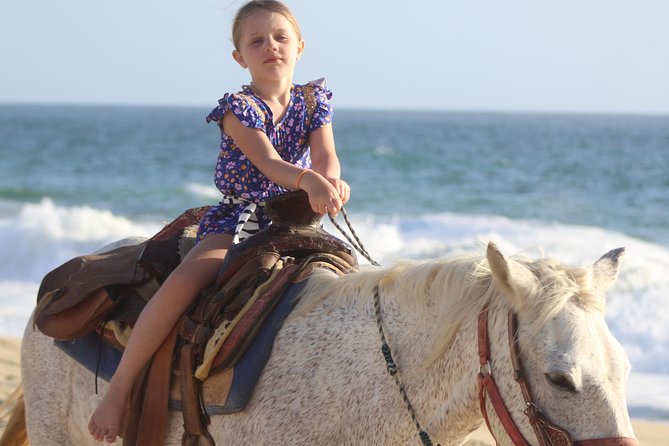 Cabo White Sand Horseback Riding Tour and Tequila Tasting - From Cabo’s hotel zone to the Real Baja ranch