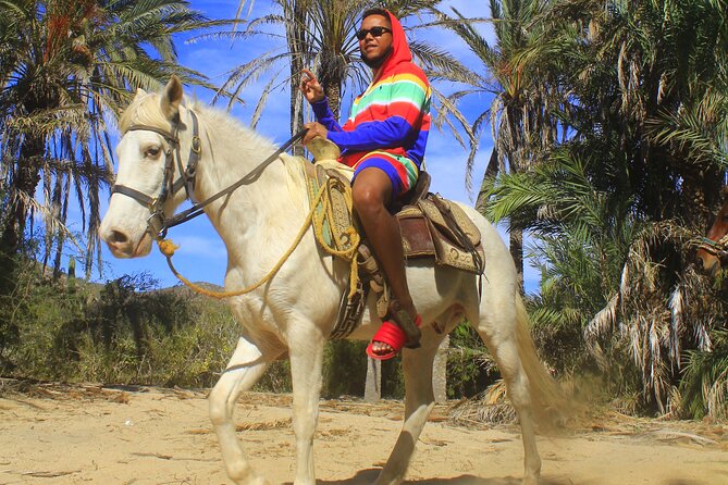 Cabo White Sand Horseback Riding Tour and Tequila Tasting - Horses, guides, and riding comfort
