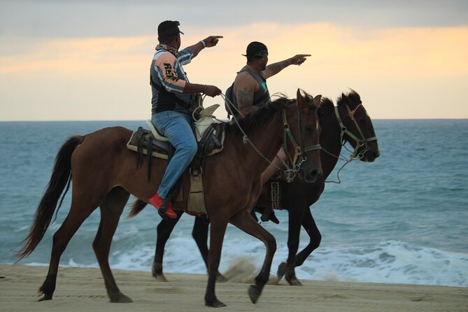 Cabo White Sand Horseback Riding Tour and Tequila Tasting - Who should book this Cabo ride?