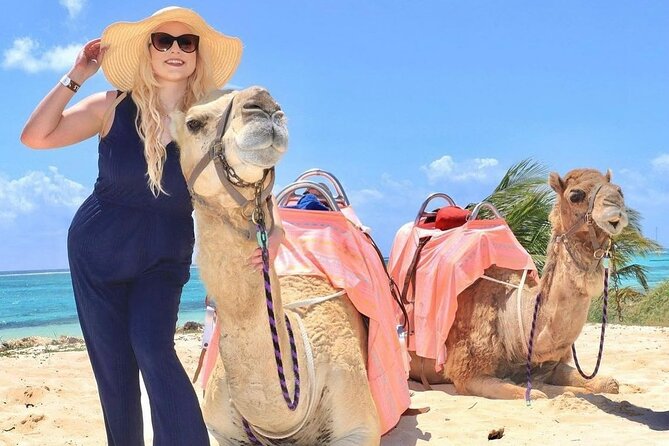 Camel Expedition and Beach Club In Riviera Maya - Meeting the camels at Maroma Beach